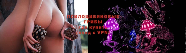 соль курить ск Верея